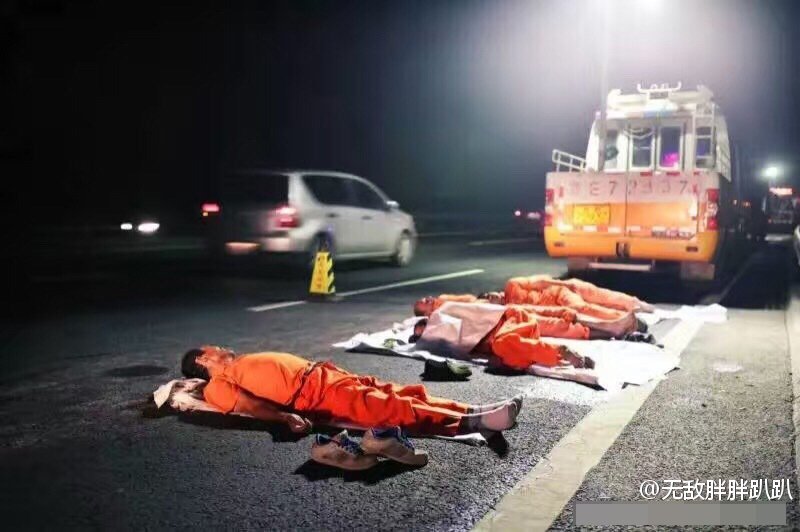 中国丰满熟妇高清色情