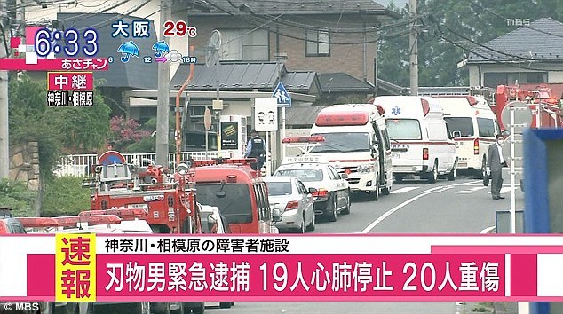 朝河蘭