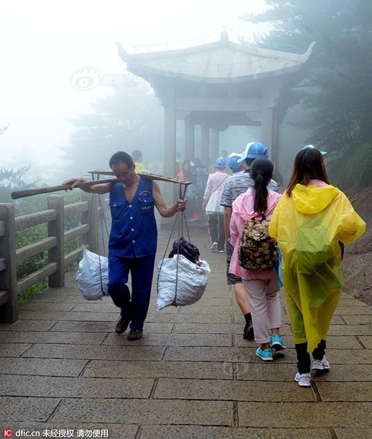 欣杨