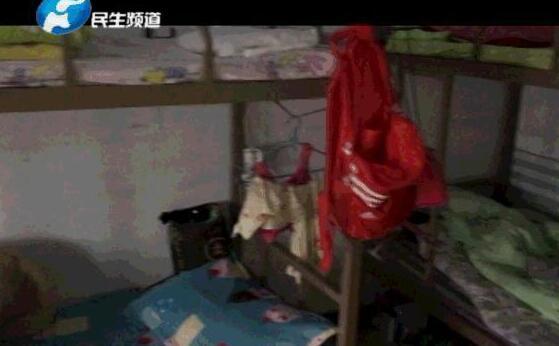 黄色热门视频短片在线免费