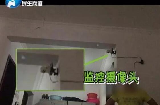 loselife无限爱心版破解版