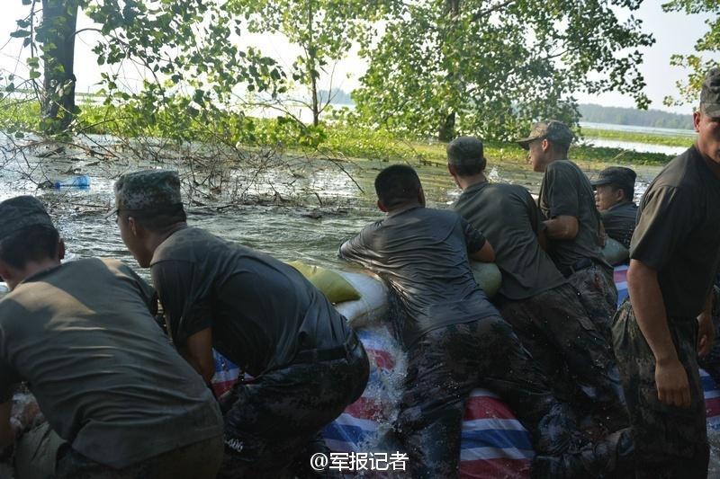 黄色网片,黄色网站