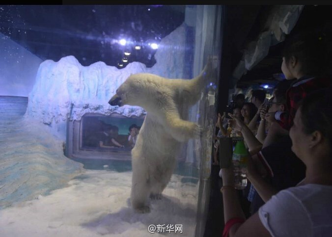 黄色网站看黄色片