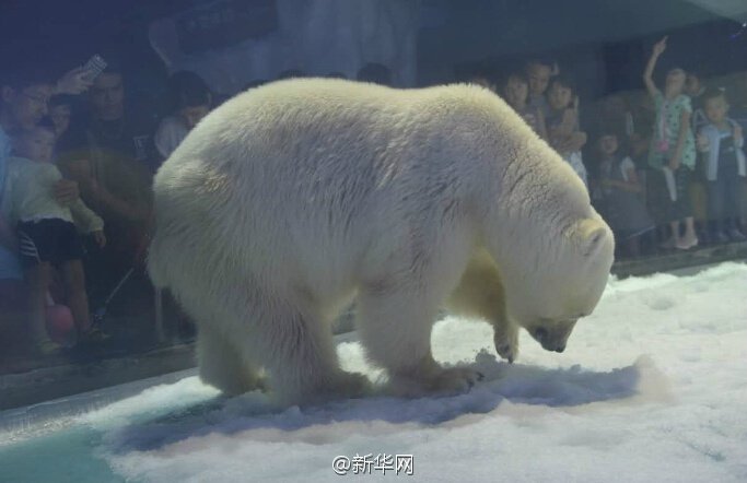 葉山潤子
