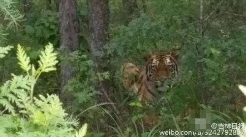 白丝女仆疯狂 喷水自慰绿巨人