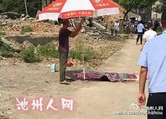 女人与藏獒交酡全过