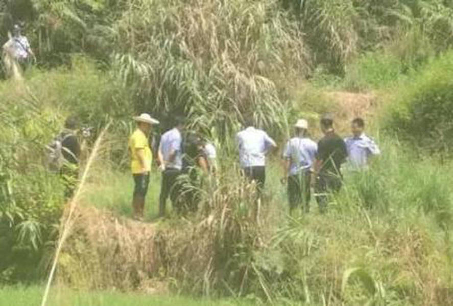 91麻豆视频