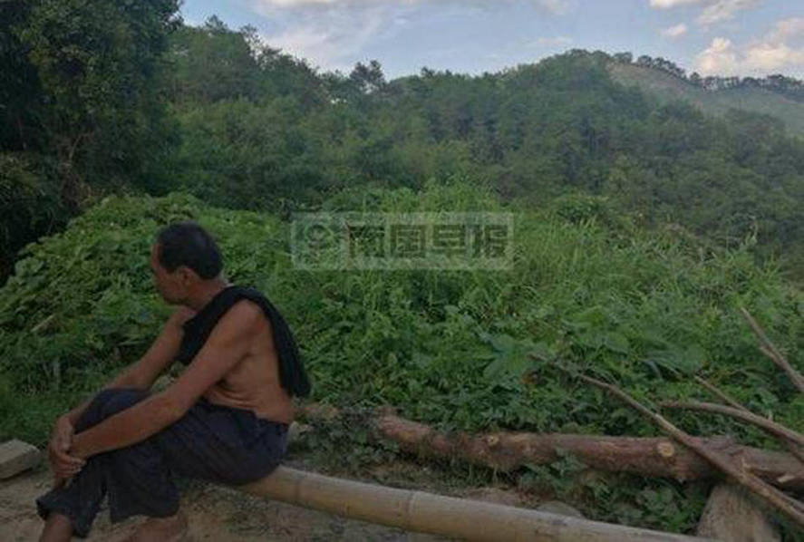 欧美日韩在线视频