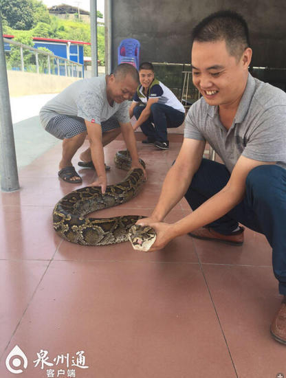 成人 直播 中文