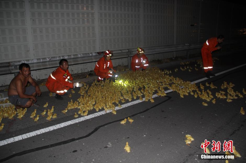 妇女性内射网站Hdwww000