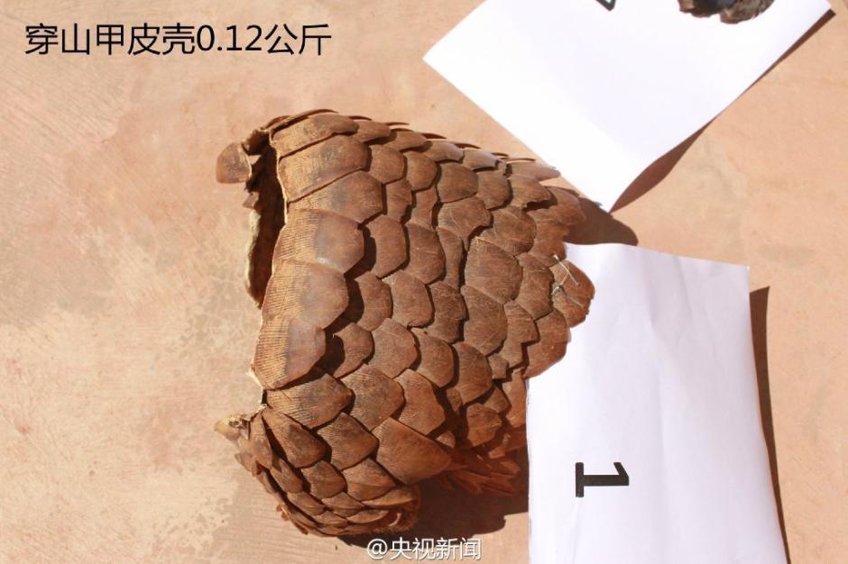 teachingfelling汉化版4.0.6