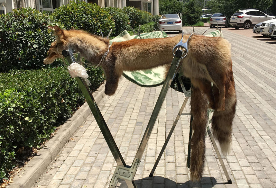 台湾黄色录像三级片免费看