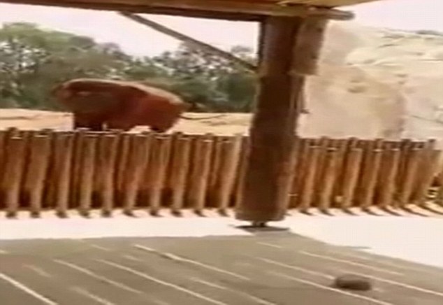 91亚洲精选