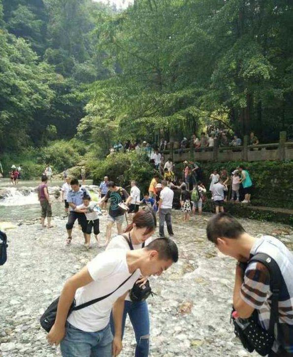 黄色网老少配肏屄免费