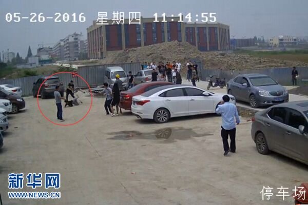 特级黄色毛片一级人与动物