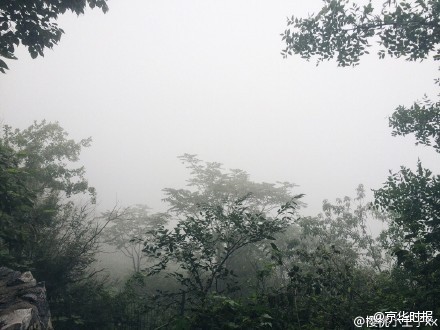 美女裸体全身秘 遮挡大肚子