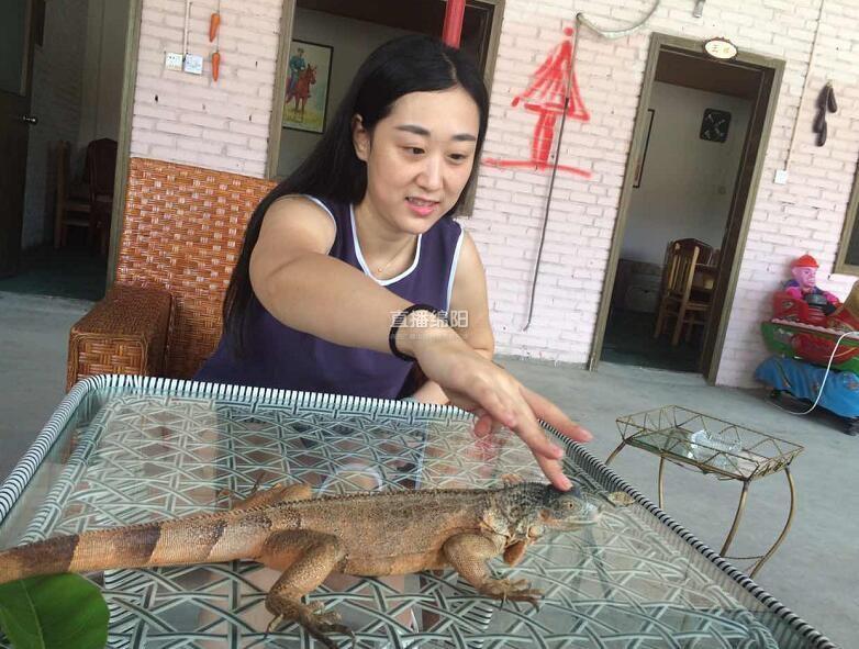 韓國節目