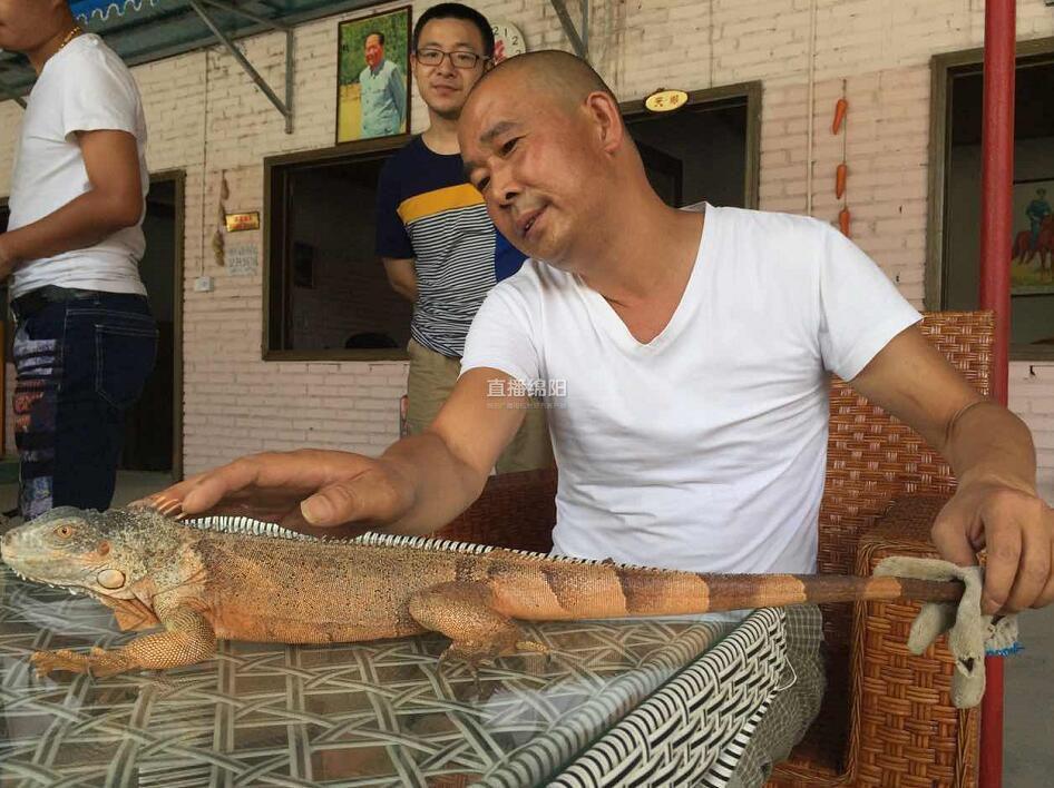 免费黄色视频在哪里看