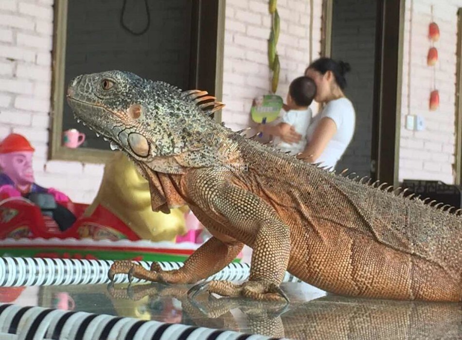 盲人按摩師傅