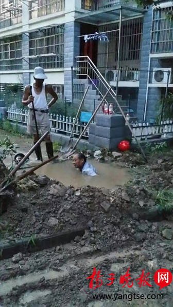 小樱同意让博人吃饺子