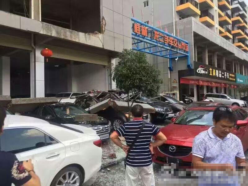 欧洲美女与动交ZoZ00