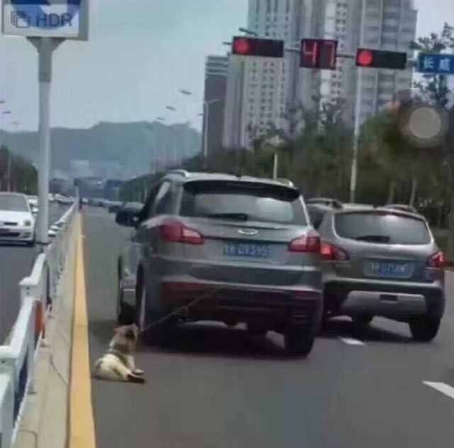 老师掀开裙子让我