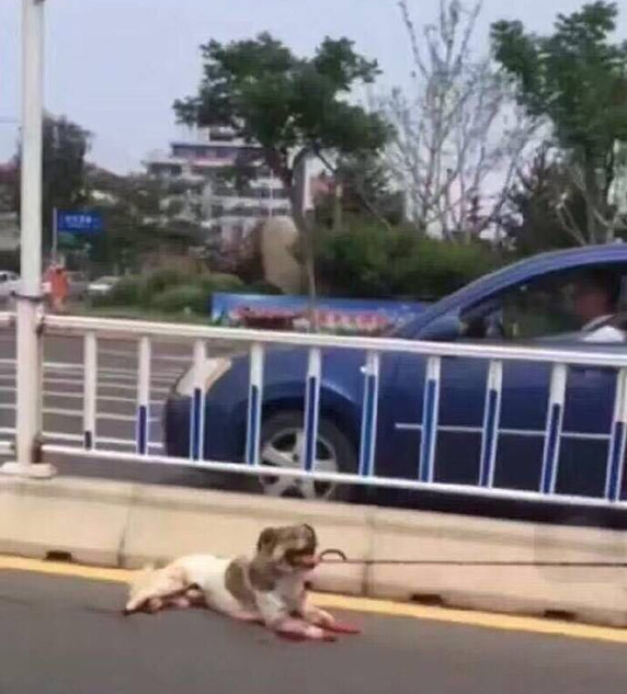 韓國成人直播