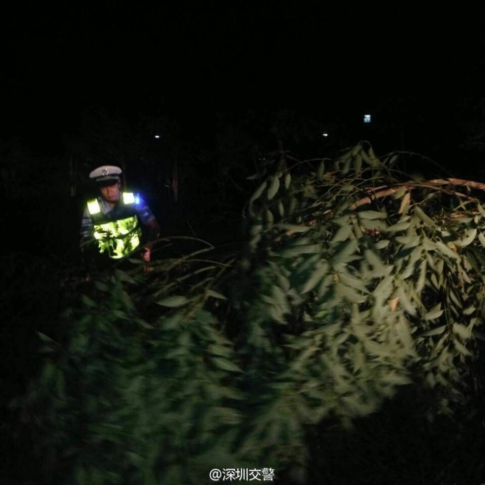 中國直播現場作愛