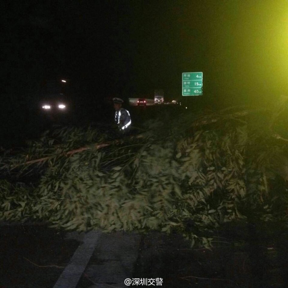 红秀资源