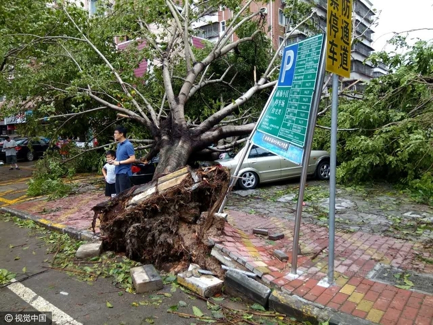 黄色Av推油按摩网站