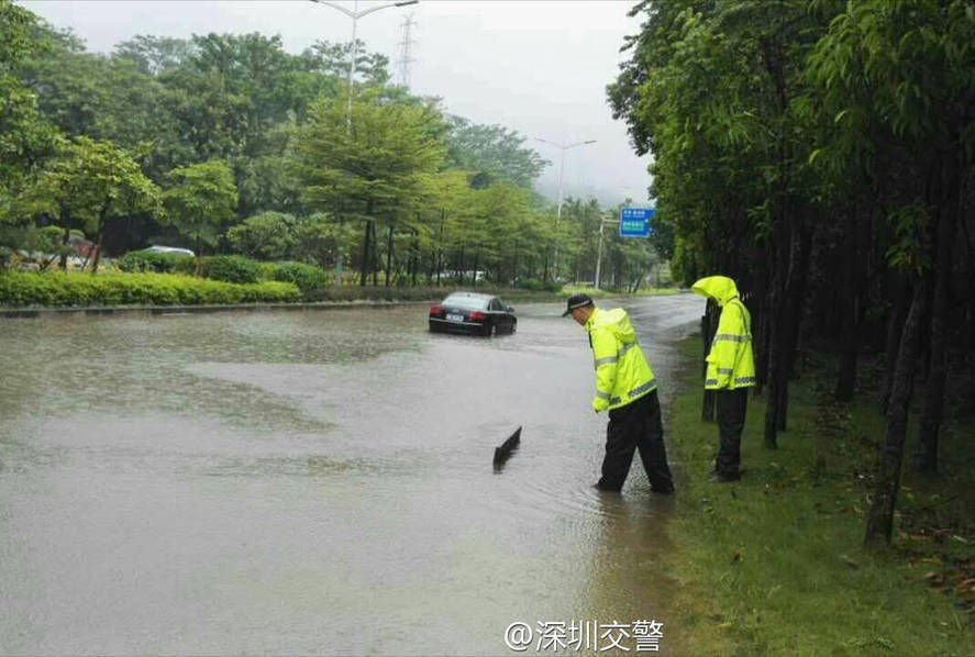 看片黄网站推荐