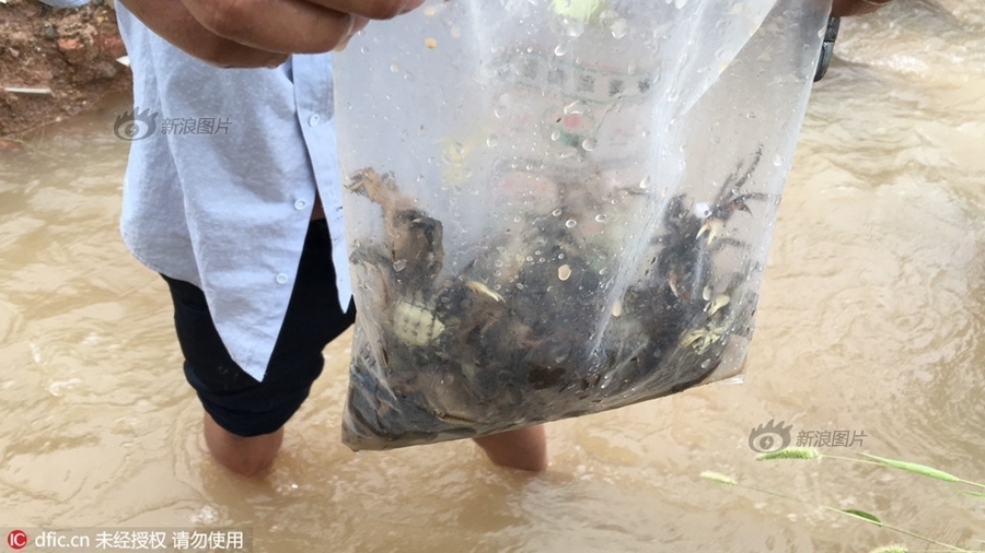性奴黄色网站