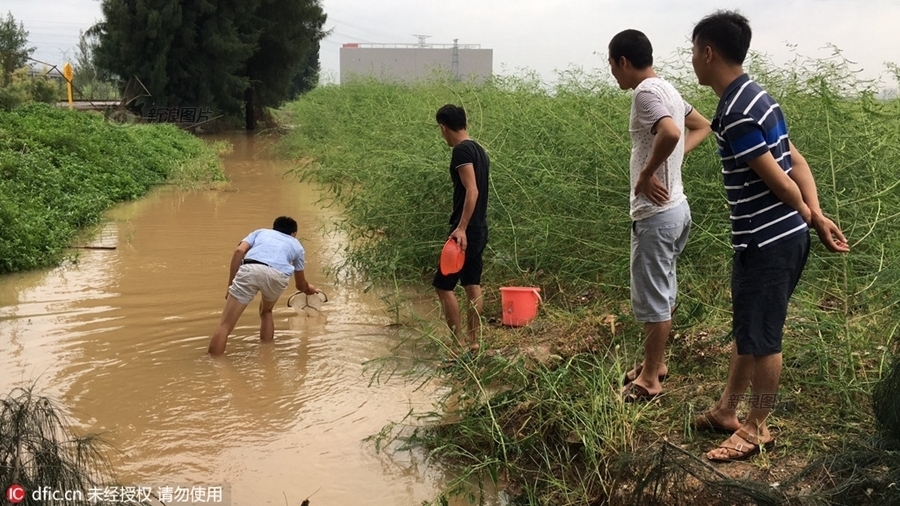 七十老妪性Hd交