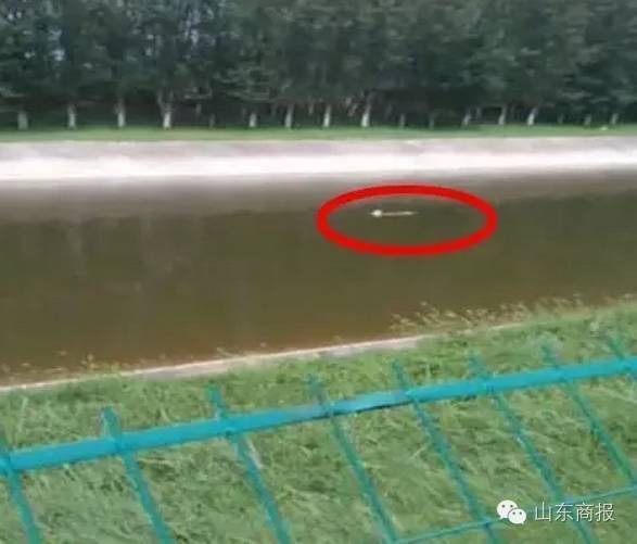 日韩高清一区