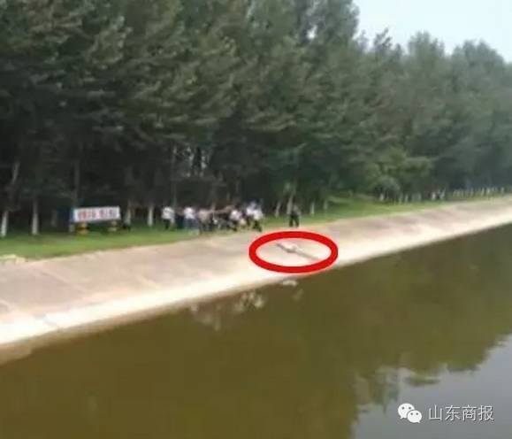 国产伦精品一区二区三区免.费