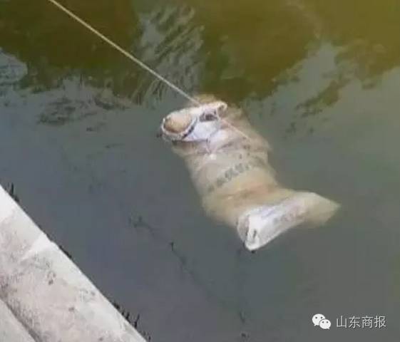 自慰教学