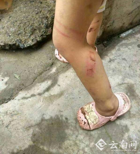 明星mv造梦大全视频星辰影视