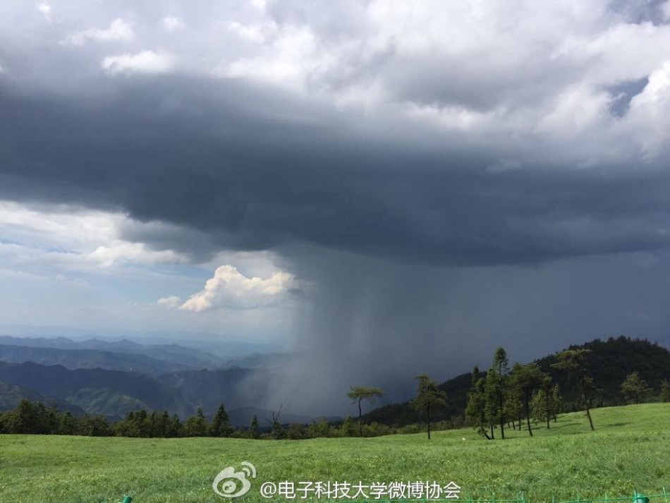 黄色视频那里有