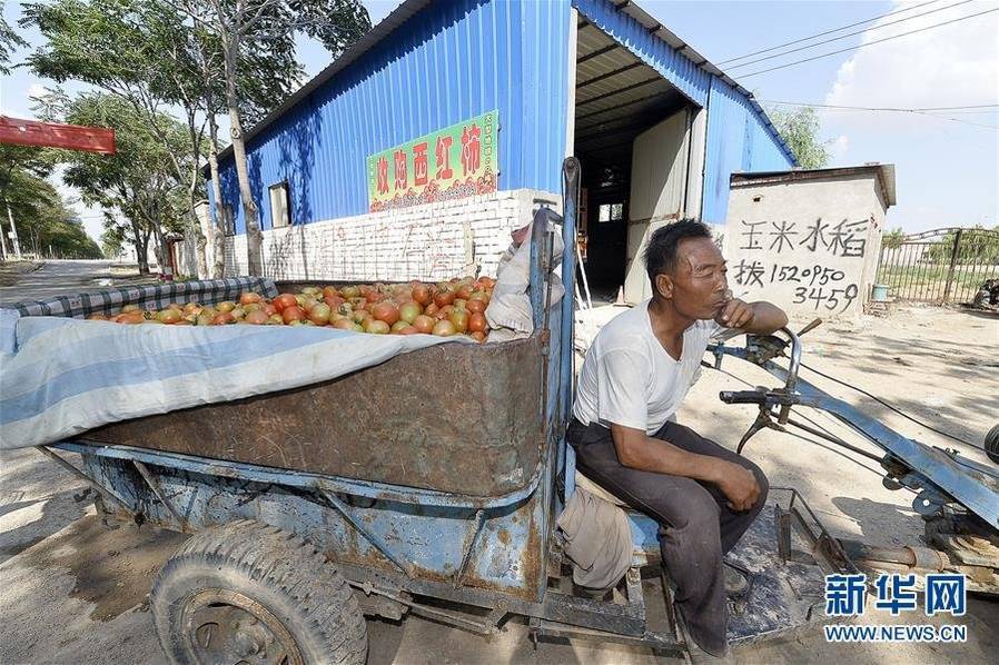中国丰滿老太HD