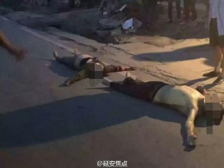 老艳妇艳照门