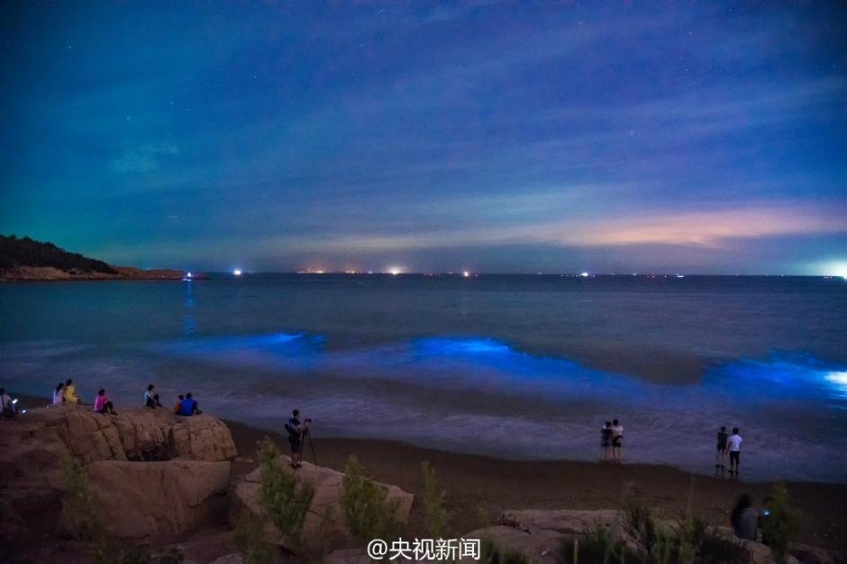 台湾氵级片网站