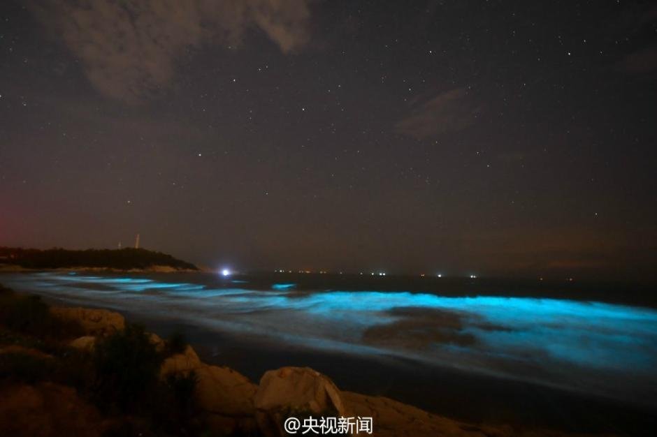 玩东北老熟女棚户区Hd