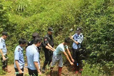 黄色小视频在线免费看