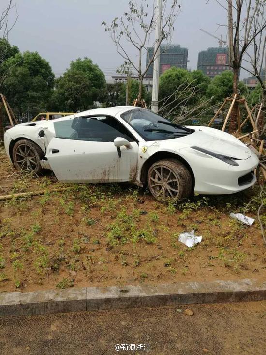 欧美vieox另类极品