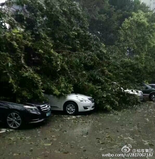 欧美作爱一级片
