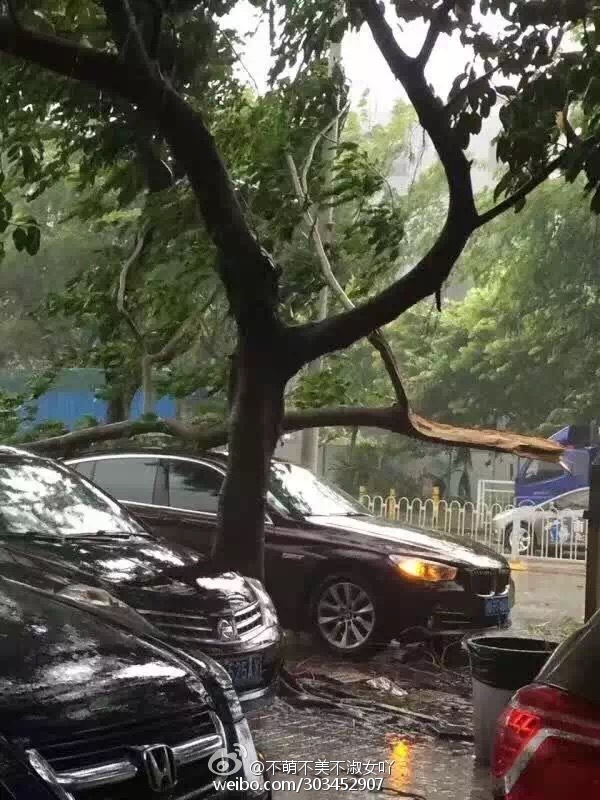 爱爱动态