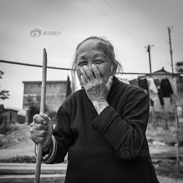 免费 成人 导航