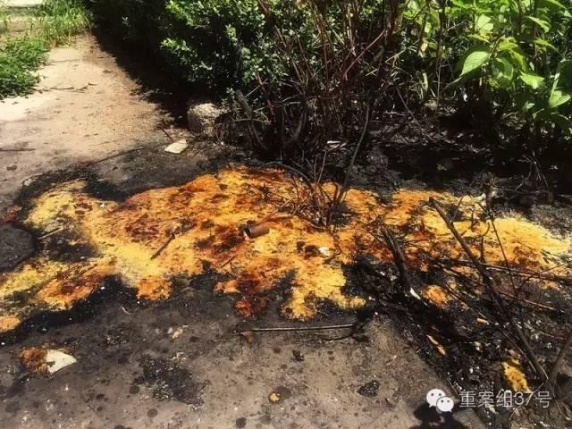 午夜秋霞无码鲁丝A片一级