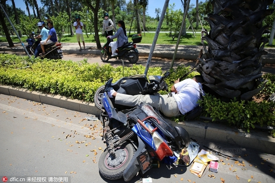国产网红精品一区