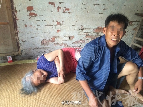 中国一级特色大黄